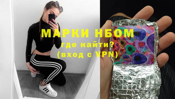шишки Алексин