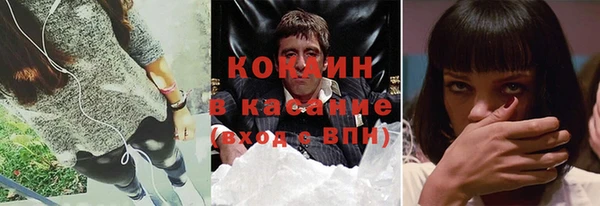 шишки Алексин